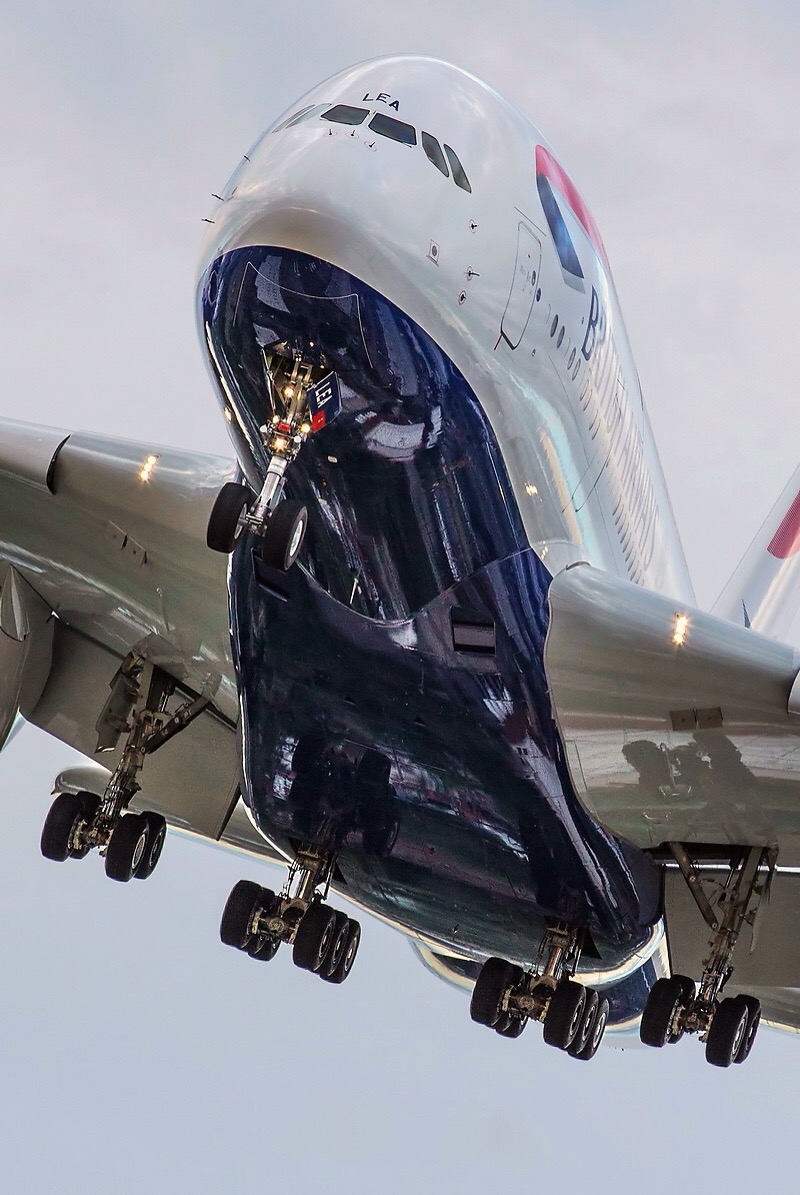 Linkybird pictures…