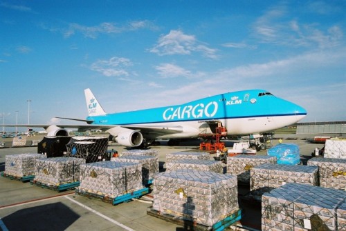 KLM Cargo launches pilot project to optimise supply&nbsp;chain.