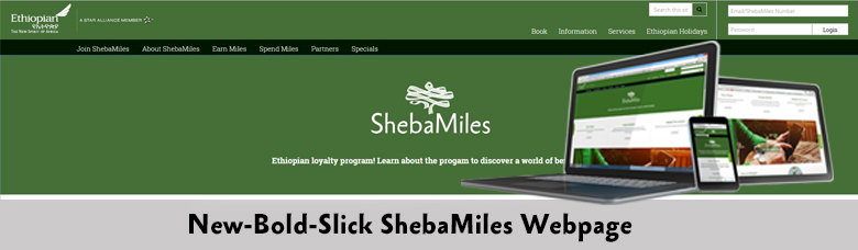 shebamile-website