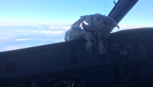 An Airline Captain’s quest to reunite lost bear with its young owner. #GetShackletonHome