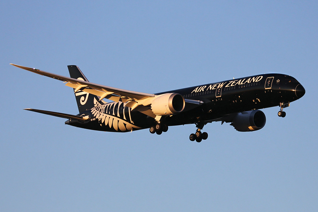 Air New Zealand calls for tighter regulations on&nbsp;drones