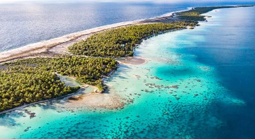 Air Tahiti Nui offers its passengers the possibility to voluntarily offset the emissions of their&nbsp;trip